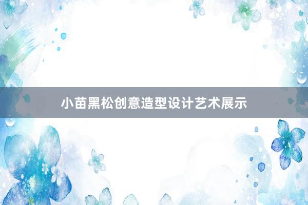 小苗黑松创意造型设计艺术展示